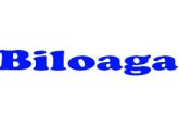 biloaga.com